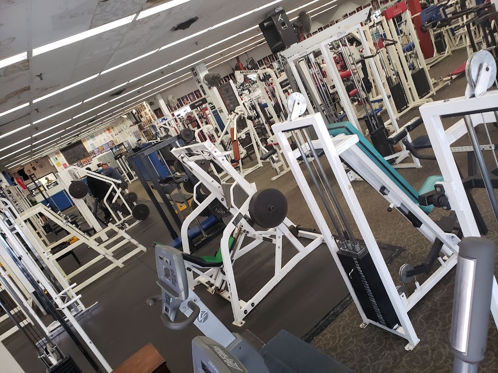  Samson's Body Building