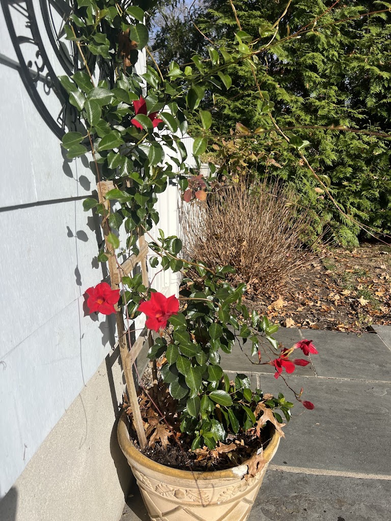  Kaia Yoga and Meditation Mamaroneck