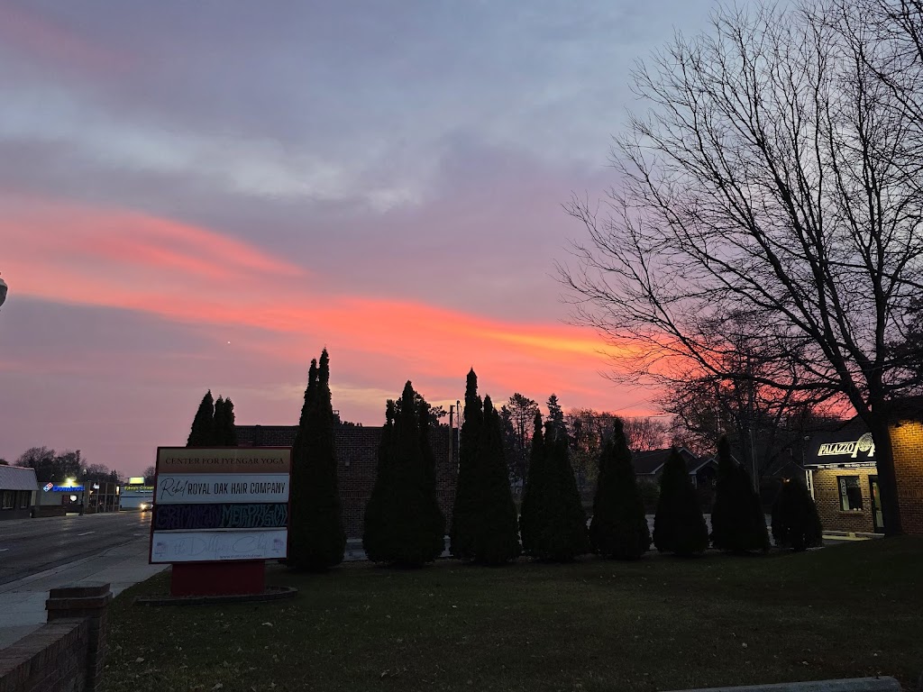 Center For Iyengar Yoga