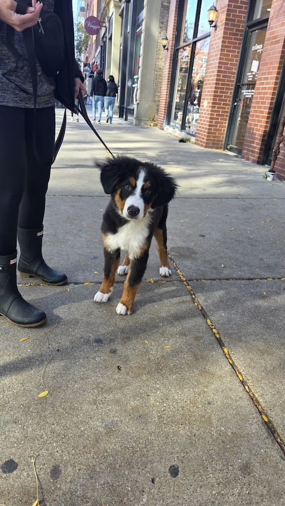  CrossTown Fitness - West Loop