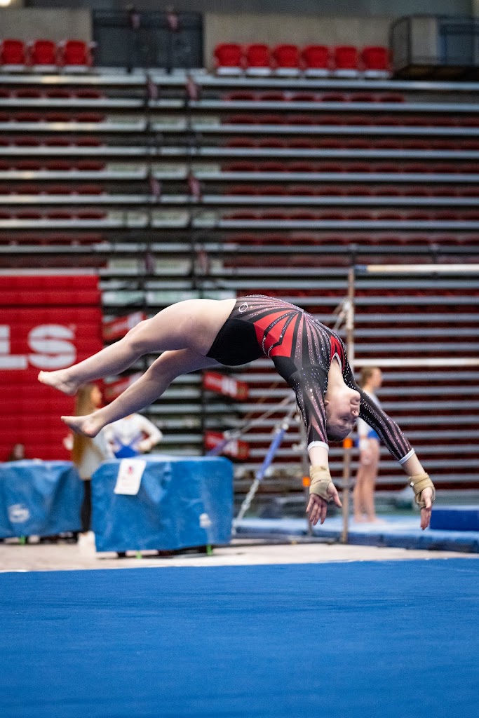  Western Stars Gymnastics