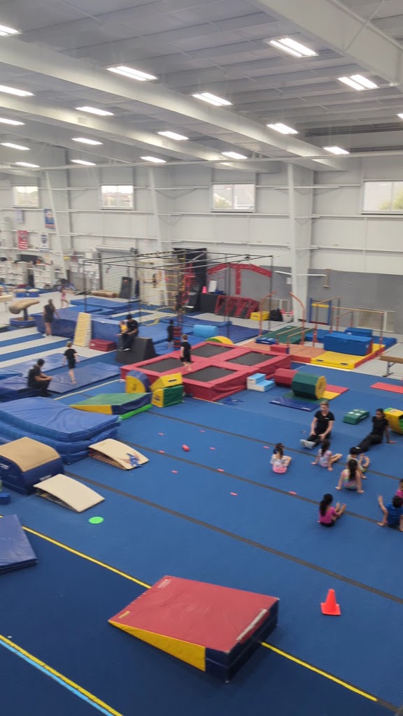  Fun & Fitness Gymnastics