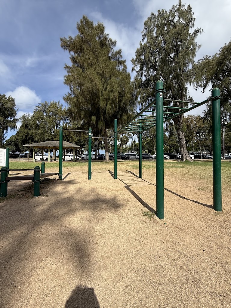  Kapiʻolani Park Fitness Station