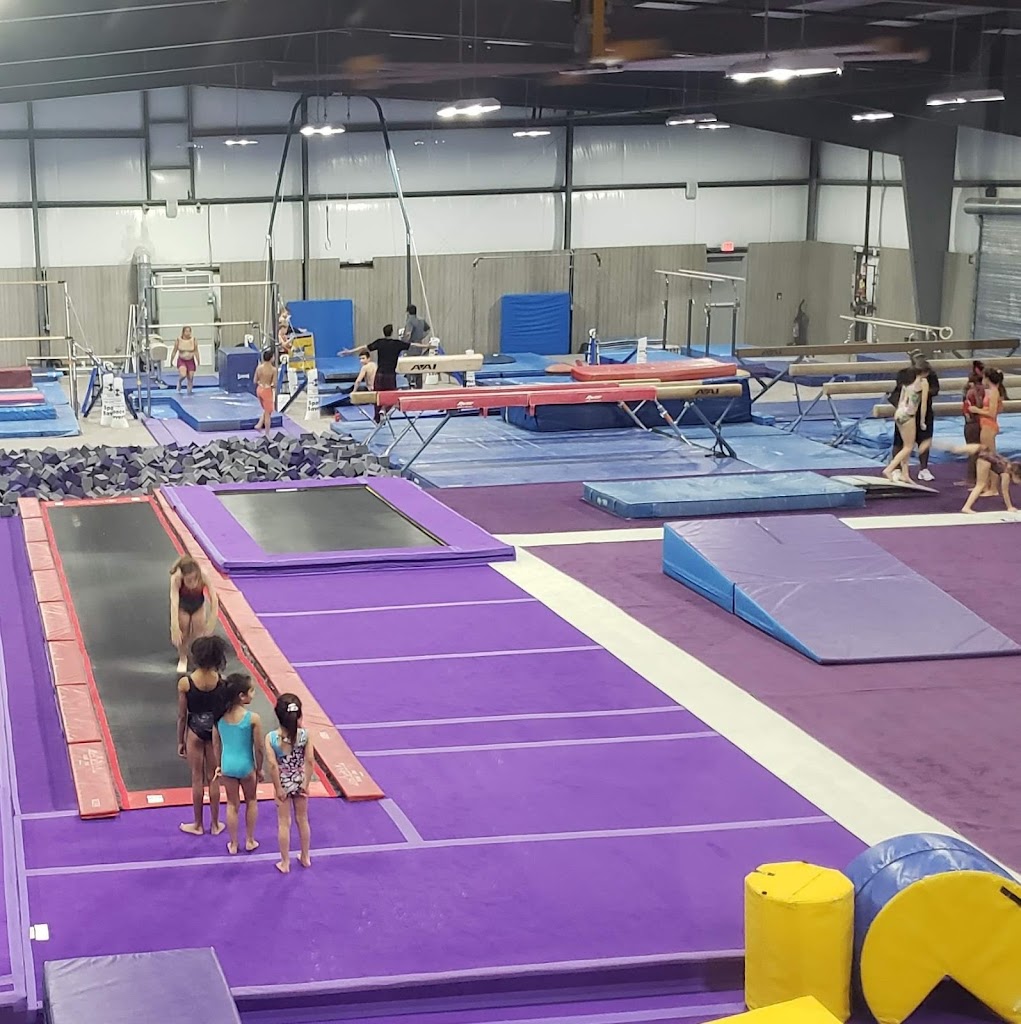  Top Contenders Gymnastics