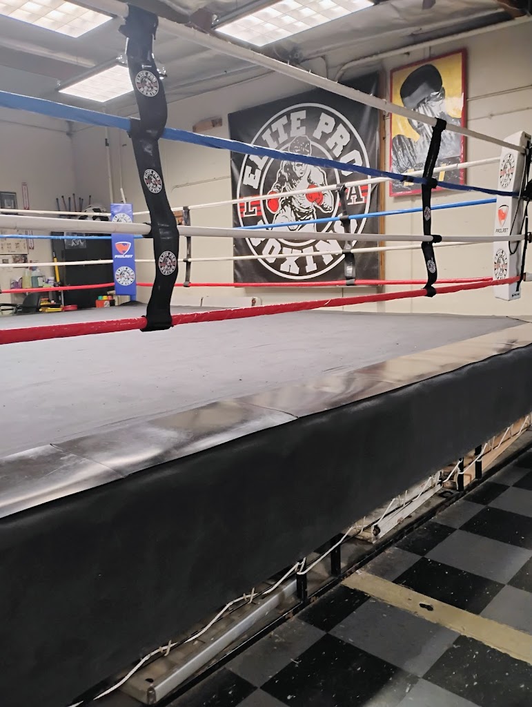  Elite Pro Boxing