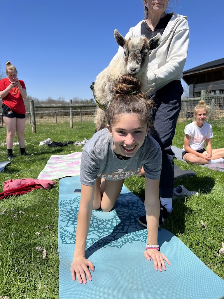  Water and Rock Studio