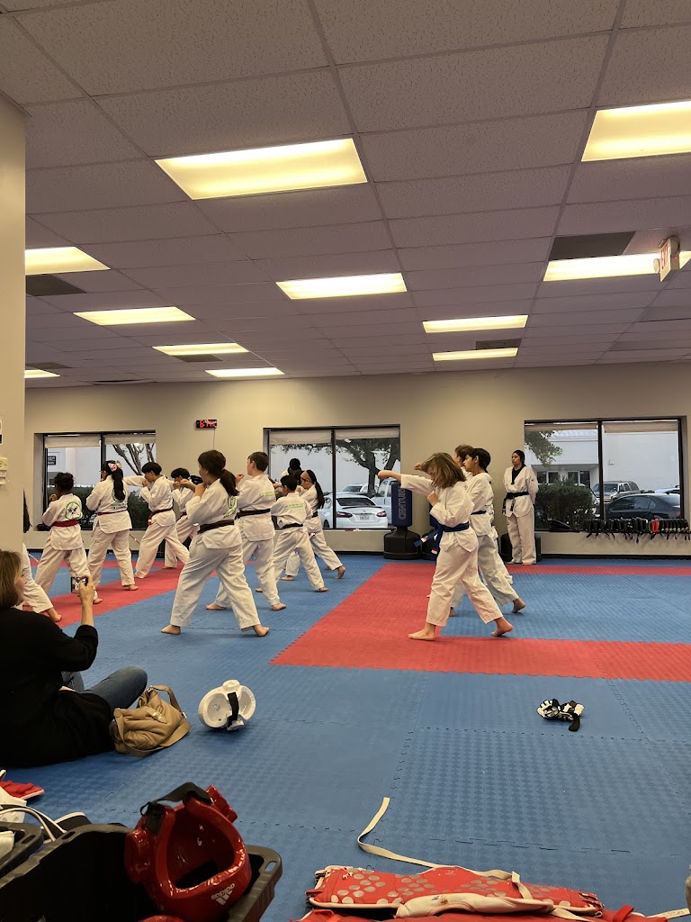  The Houston Center for Taekwondo
