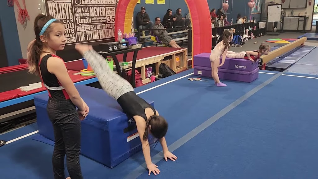  Younique Fitness LLC- (School of Gymnastics, Acrobatics & Family Fitness)