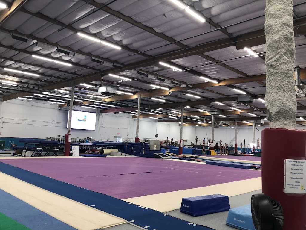  Technique Gymnastics