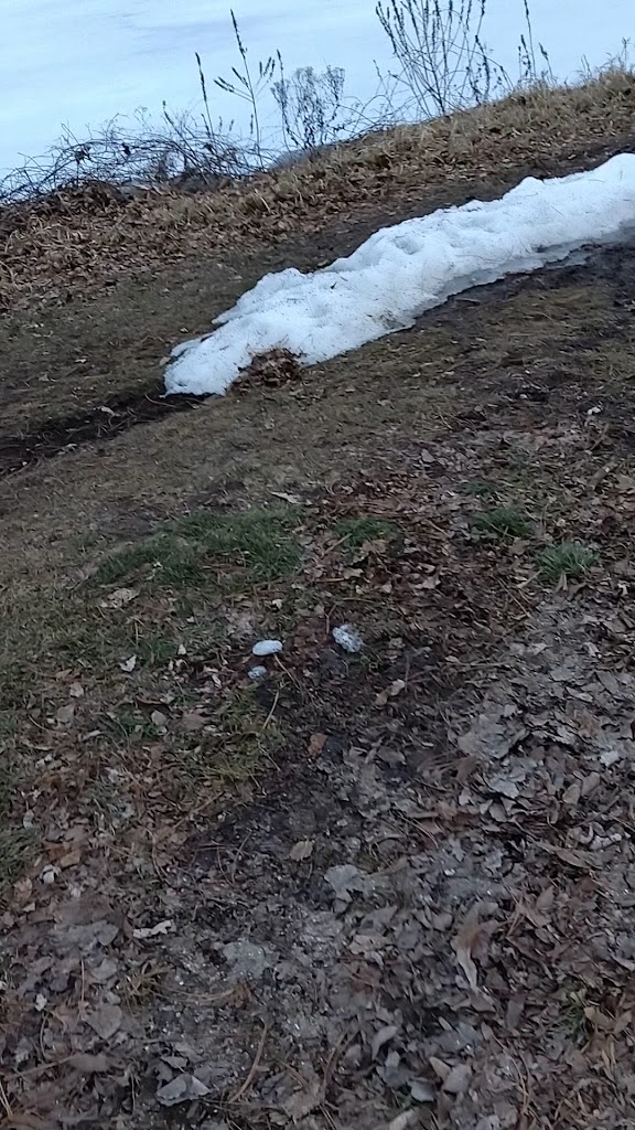  F45 Training Madison West