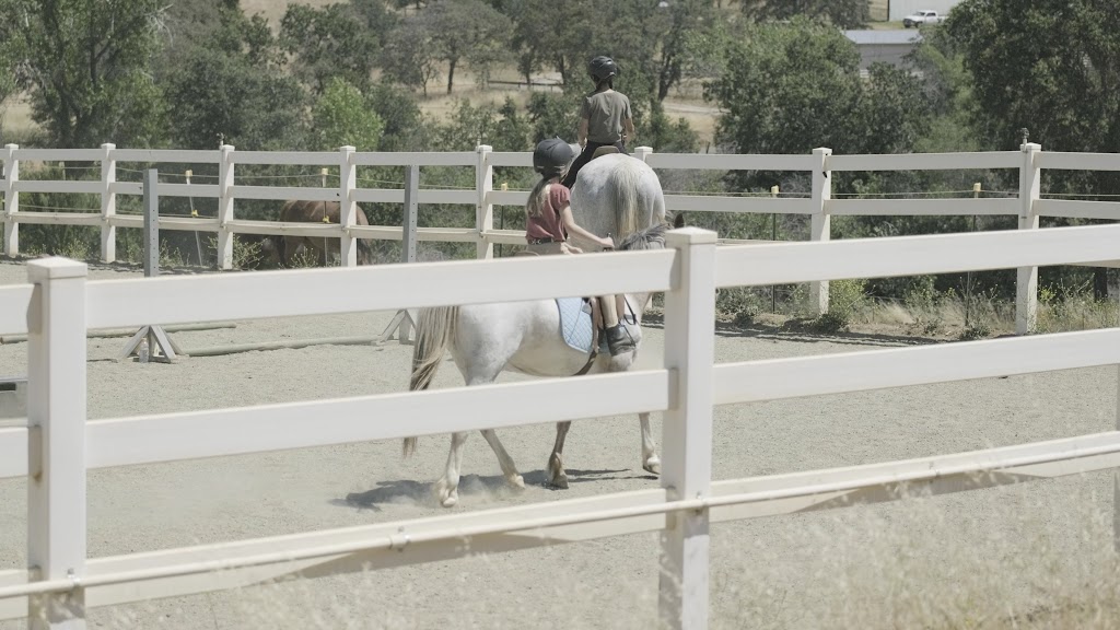  Flip 2 It Sports Center