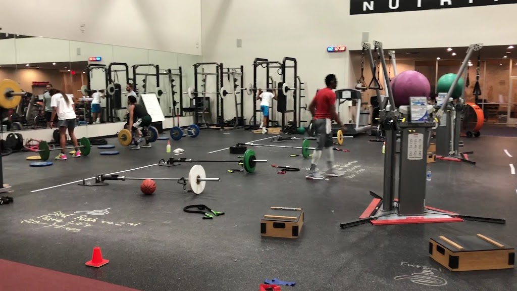  Gray Fit Training & Recovery