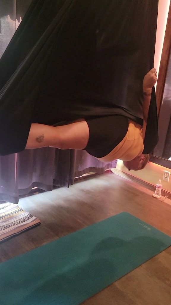  Rosebud's Aerial Yoga Studio & Store