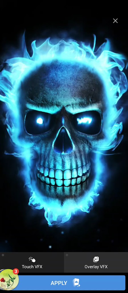  Caution CrossFit and Fitness Facility Miami Lakes