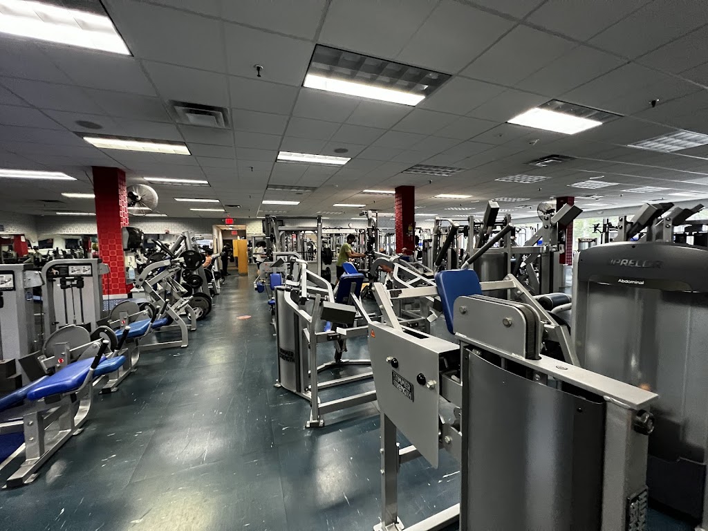  Synergy Fitness NY