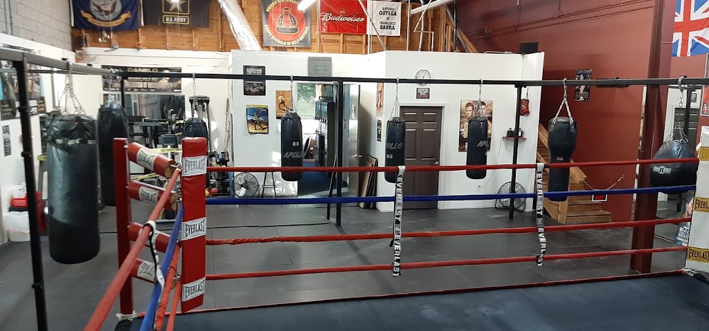  Hard Knocks Gym