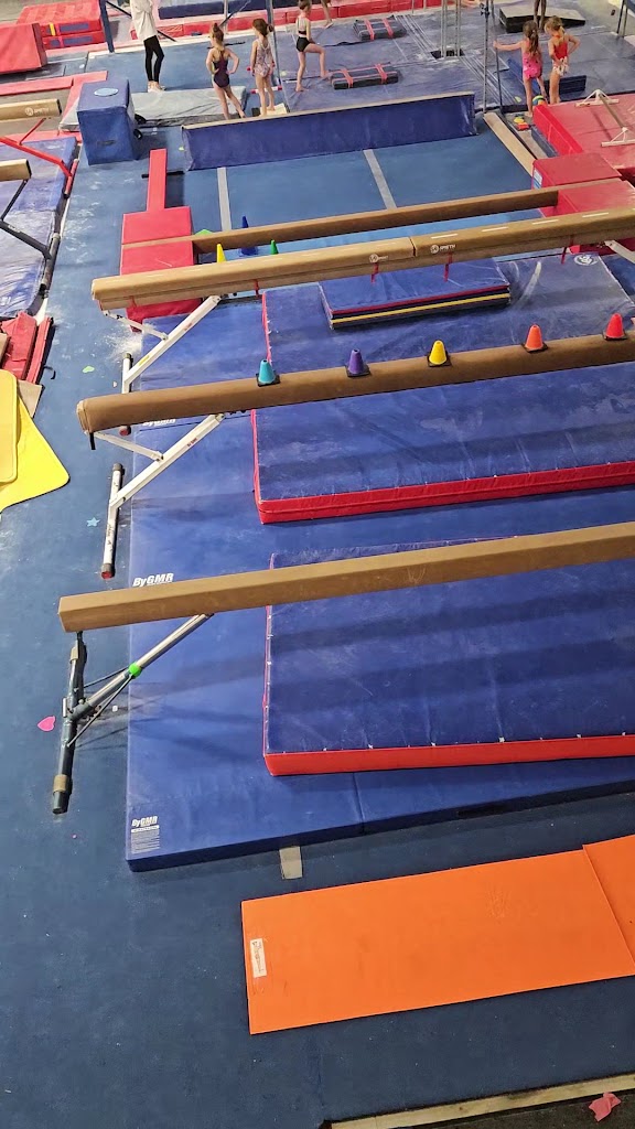  Precision South Gymnastics