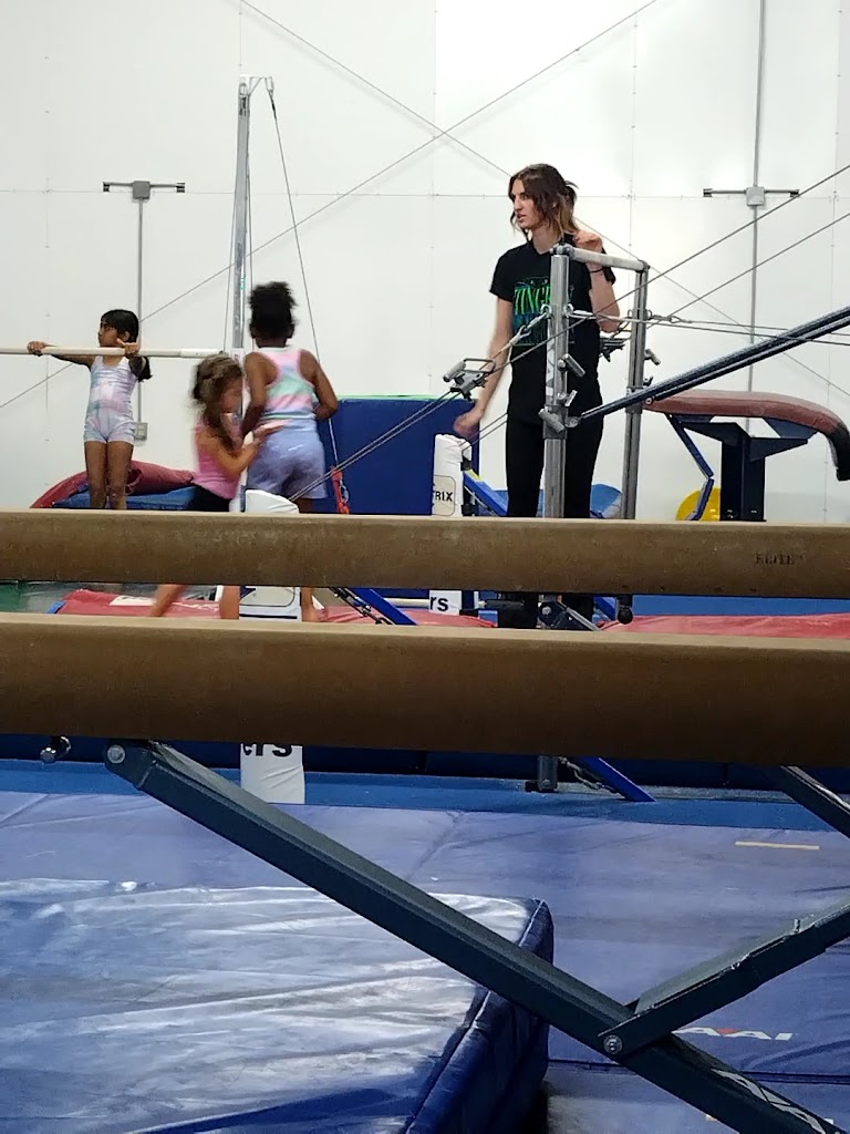  The Stingray Allstars Tampa