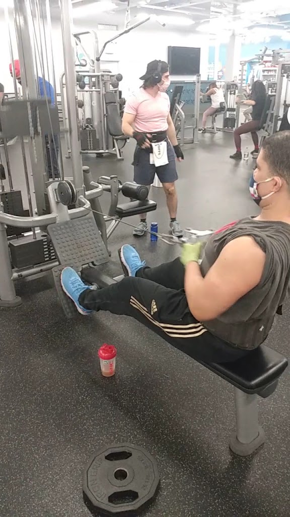  Blink Fitness (PureGym)