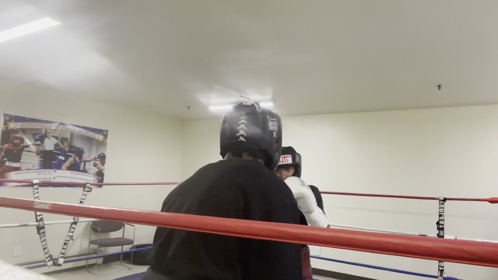  The Sugar Factory Inc - Virtual Boxing gym Trainer