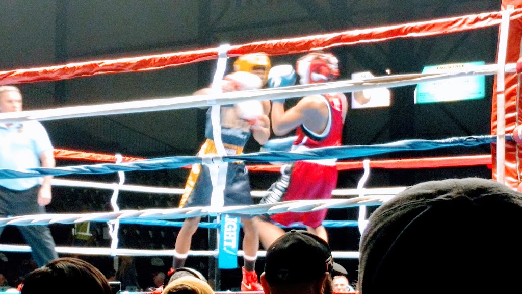  The Michigan Golden Gloves Association, Inc