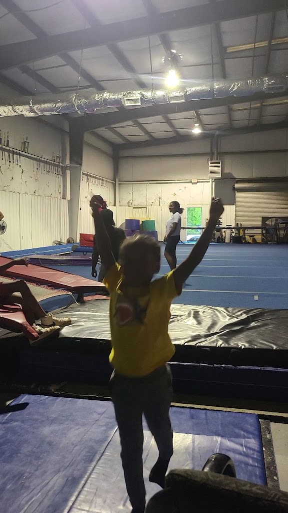  Flip City South Tumblers