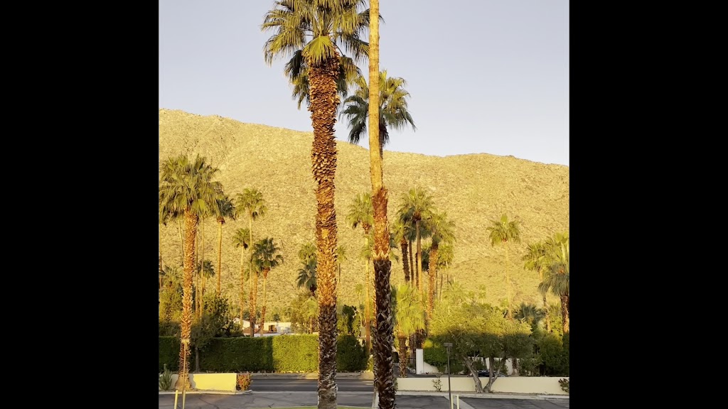  Yoga Yantra - Palm Springs