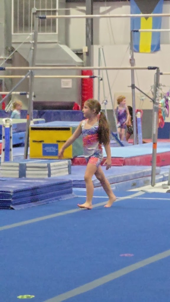  Virginia International Gymnastics School