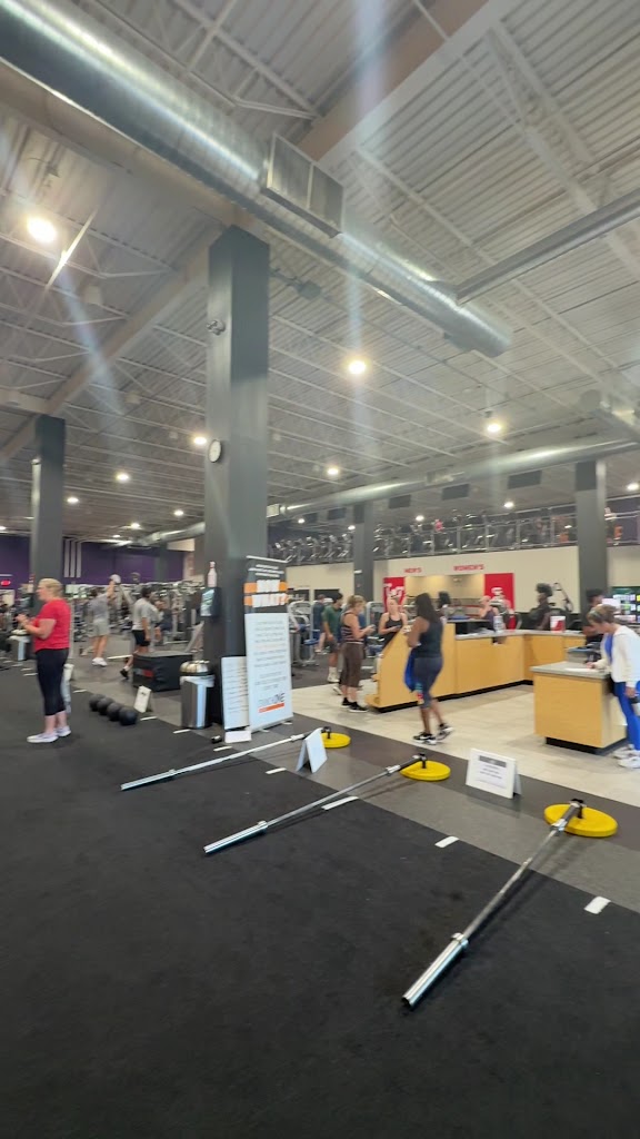  Crunch Fitness - New City