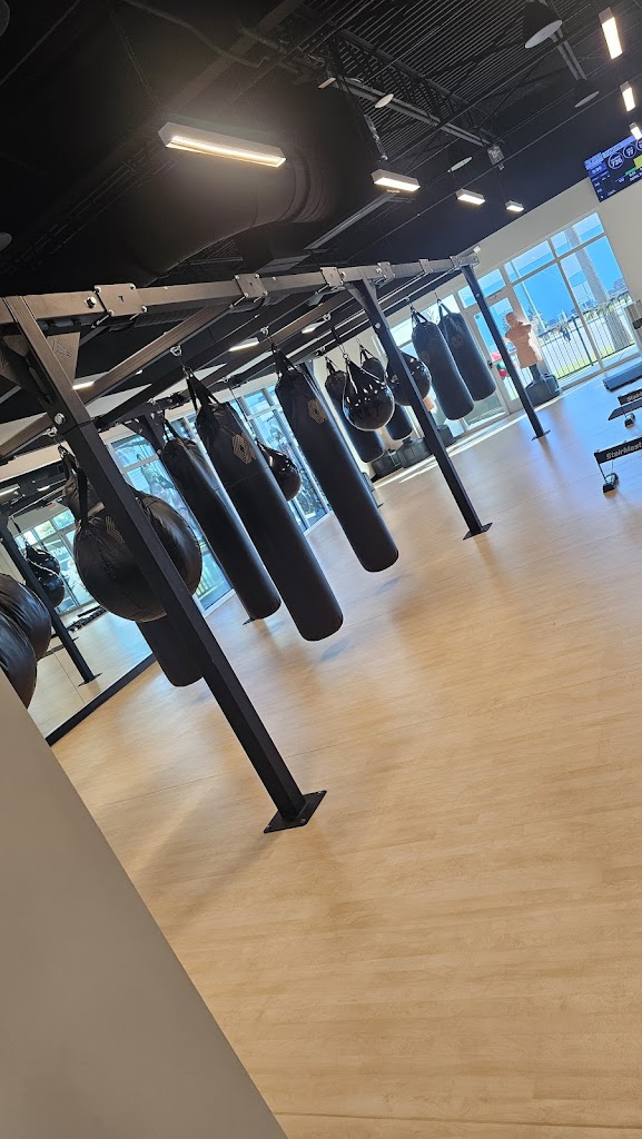  Mayweather Boxing + Fitness