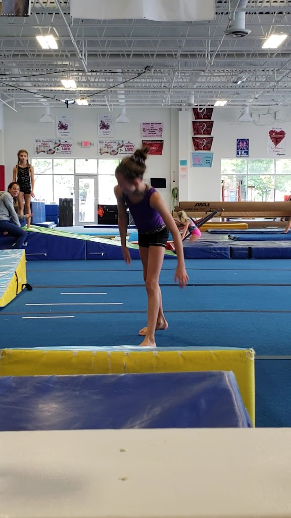  World Class Gymnastics Academy