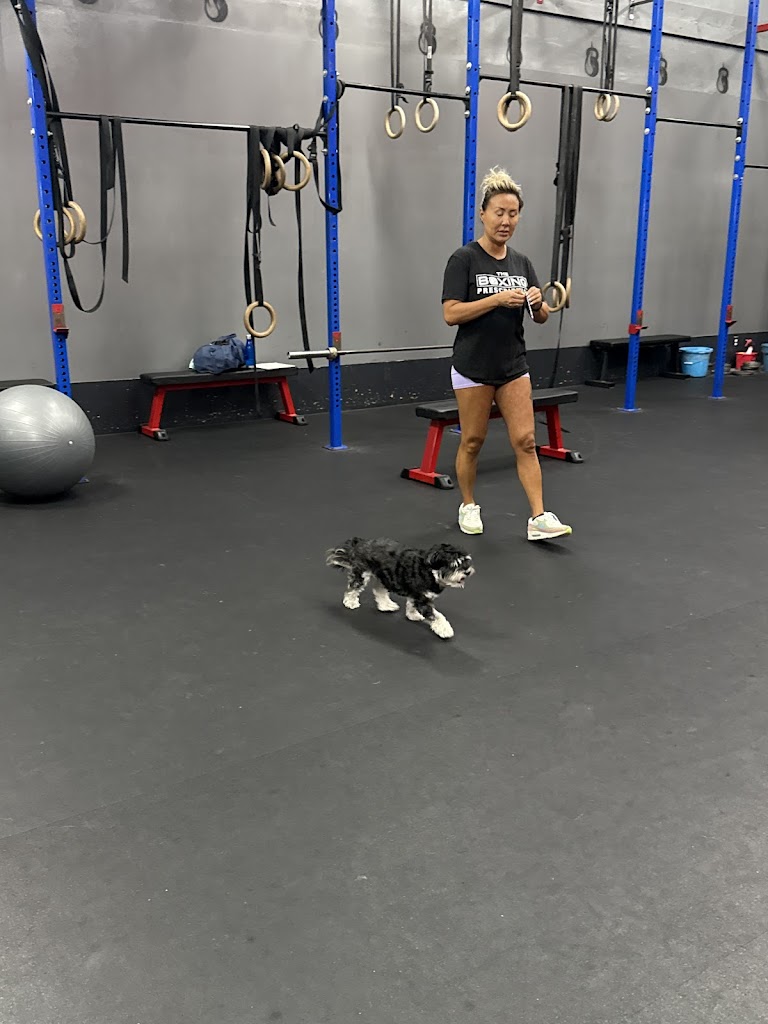  The Boxing Prescription