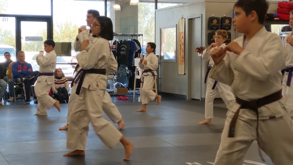  AKKA Karate USA