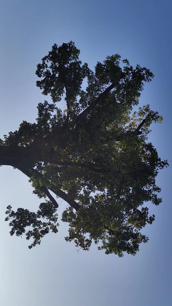  ExxonMobil Houston Campus - Wellness Center