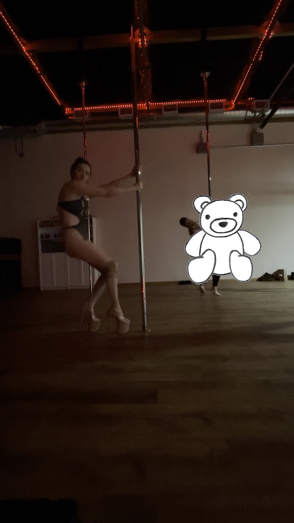  Euphoria Davis Pole Studio