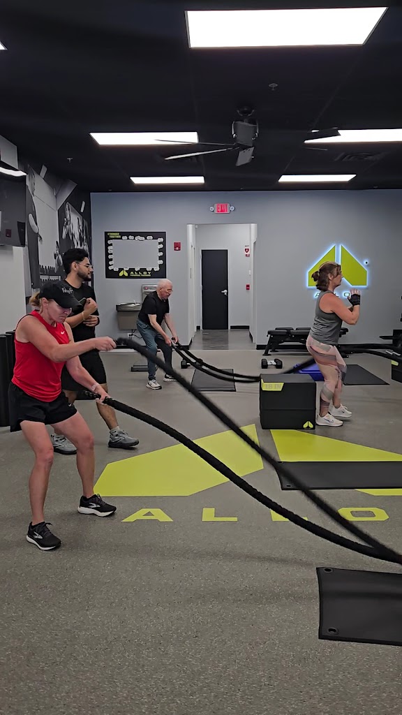  Alloy Personal Training Windward