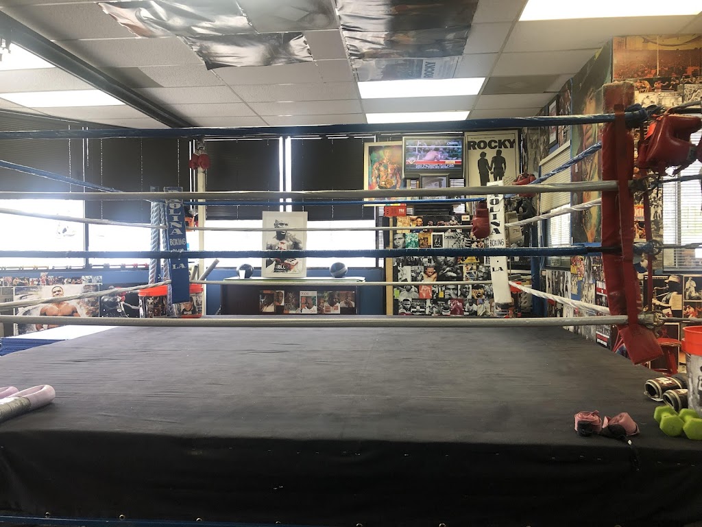  Philosophy Boxing Club