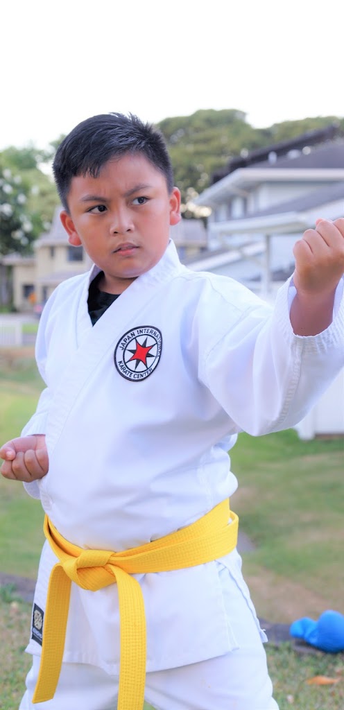  Japan International Karate Center - Aiea