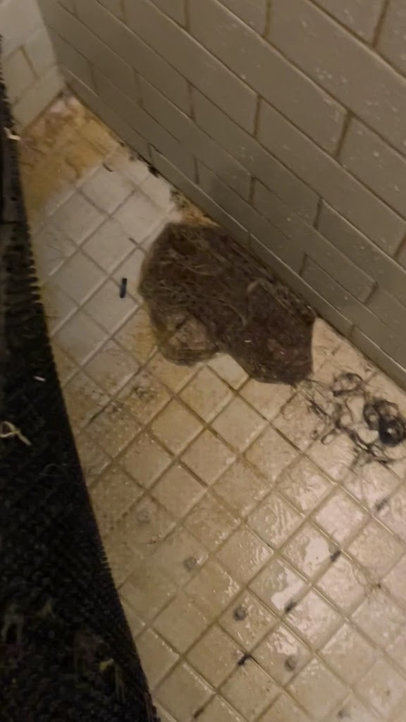  Club Fitness New York