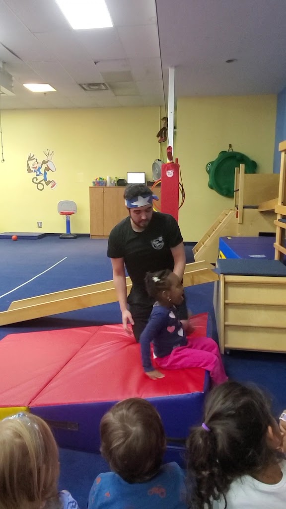  My Gym Children's Fitness Center Harlem