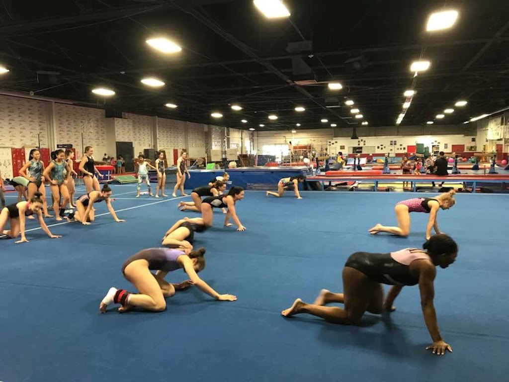  Stars Gymnastics Training Center