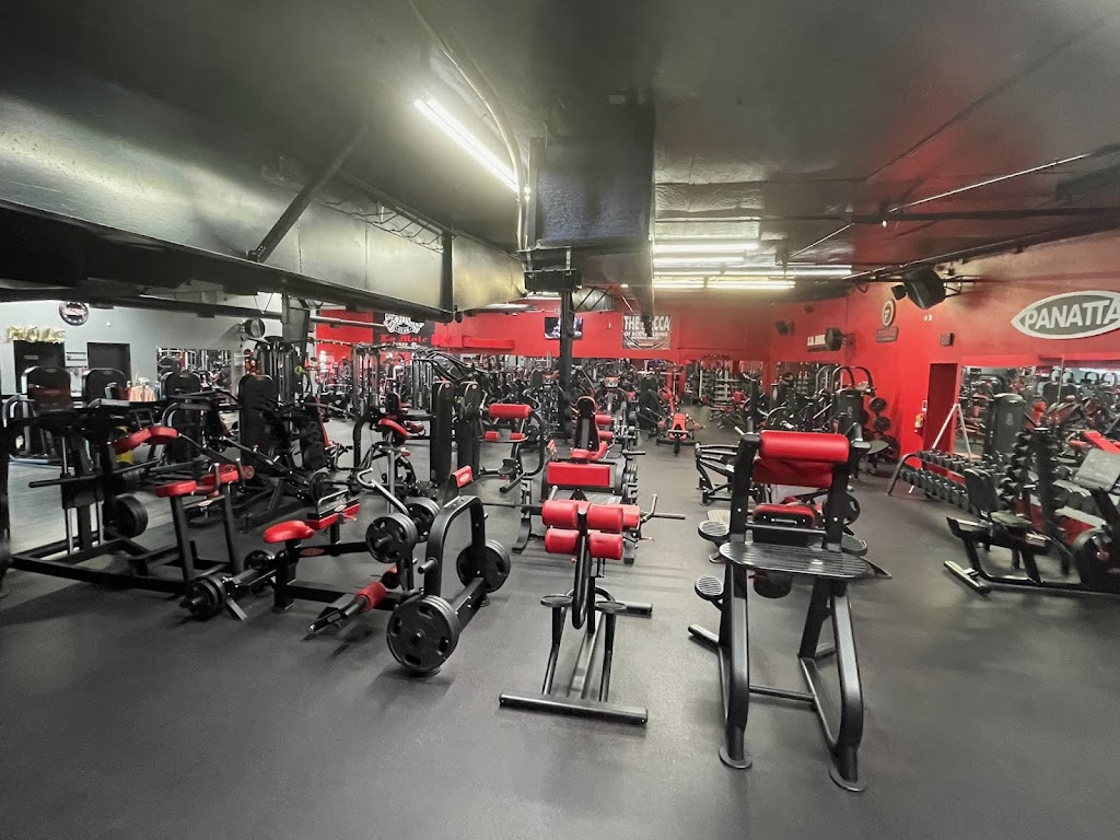  La Mole Hardcore Gym