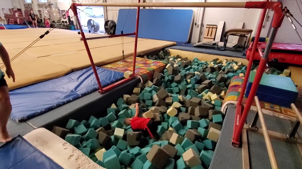  Millers' Gym Stars Gymnastics