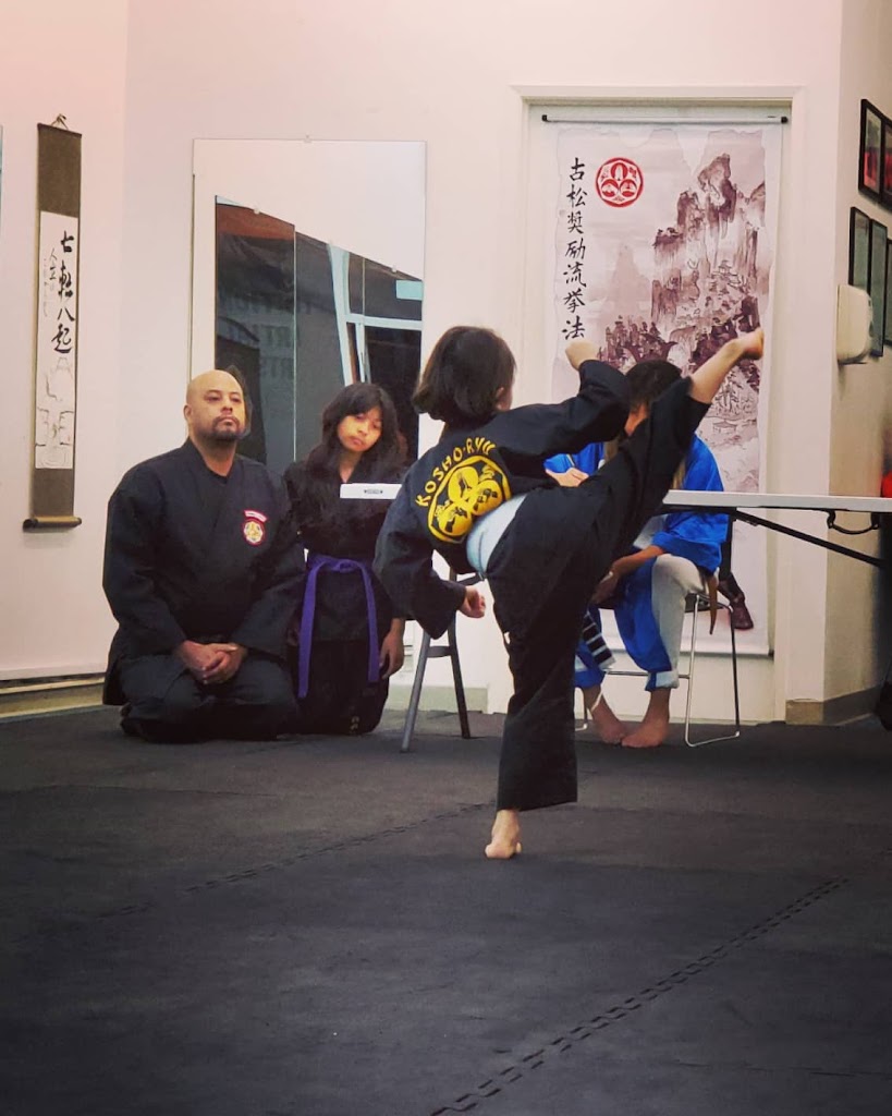  Bay Area's Best Kosho Ryu Kenpo Karate