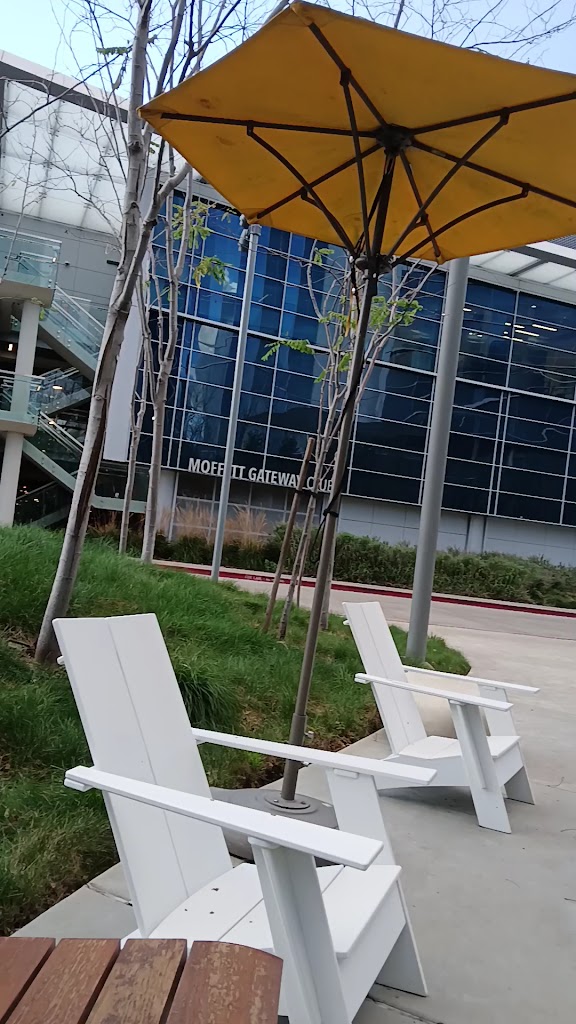  Google 1249 Crossman