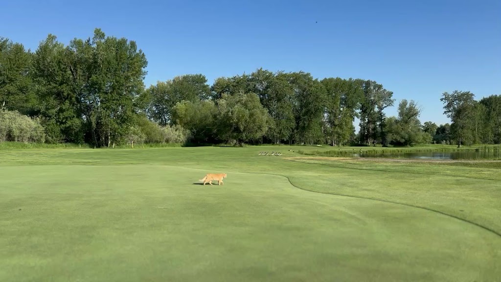  Bridger Creek Golf Course