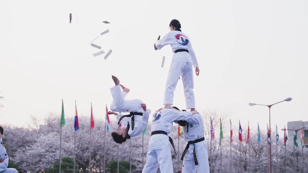  Master Yang's Martial Arts