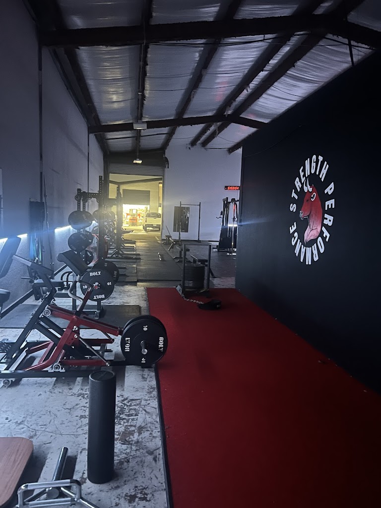  Strength Performance Gym