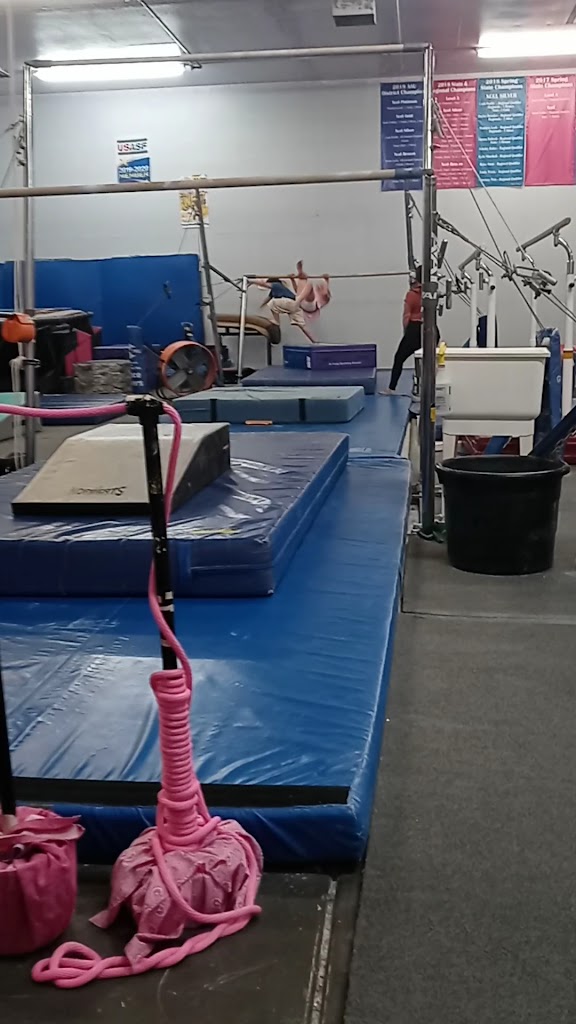  All Starz Academy-Gymnastics