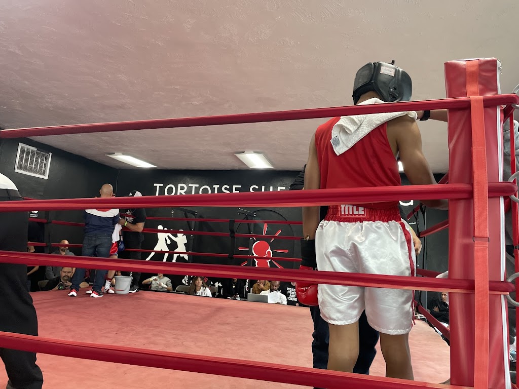  Tortoise Shell Boxing